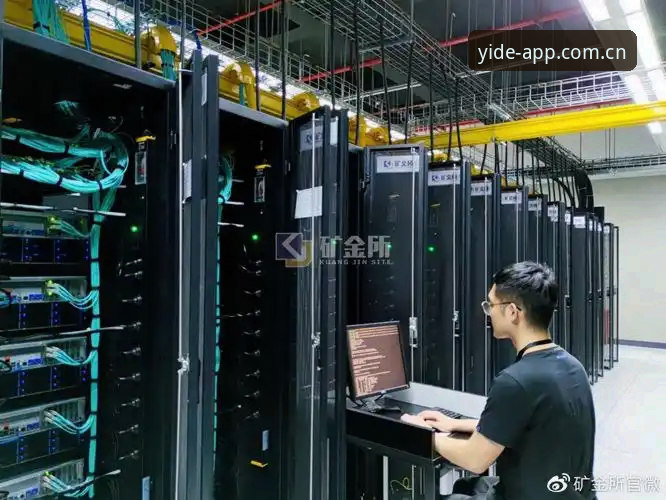 亿德体育最新资讯评测 亿德体育最新资讯评测:专业分析师揭秘真实体验与数据背后的真相